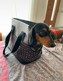 Borsa per cani