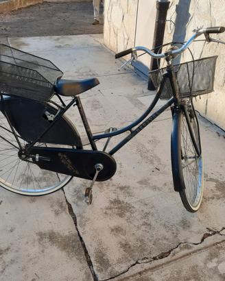 Bicicletta Olandesina