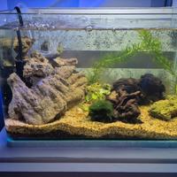 acquario piccolo