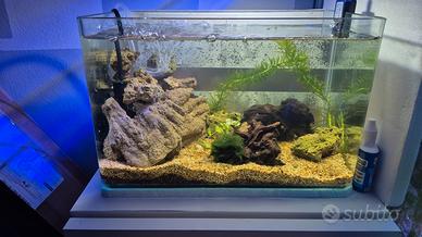 acquario piccolo