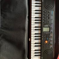 Pianola Casio con custodia