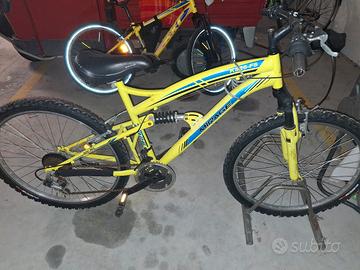 bicicletta 6-12 anni