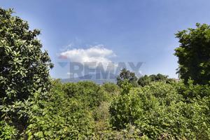 Terreno - Acireale