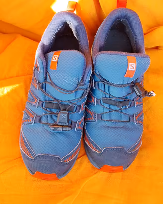 Salomon 36