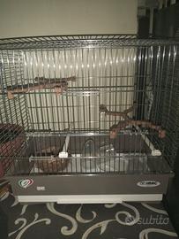 gabbia per uccelli 