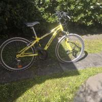 Mtb ragazzo 24' Shark Daytona stupenda