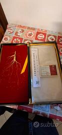 ginseng rosso