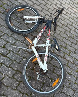 Mtb Scott 24