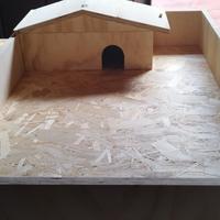 terrario per tartarughe 