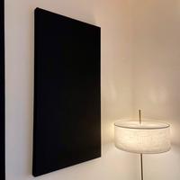 Pannelli fonoassorbenti professionali 124x64