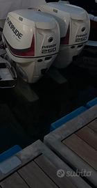 Coppia Evinrude