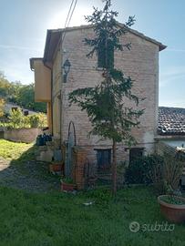 RGE 43/2024 - Tribunale di Urbino - Lotto 2