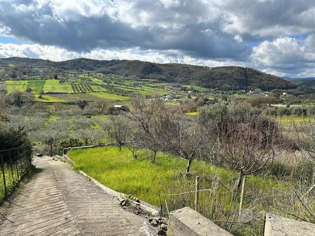 Terreno Agricolo Basicò [Cod. rif 3195565VCG]