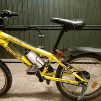 Bicicletta 20 pollici 