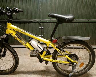 Bicicletta 20 pollici 
