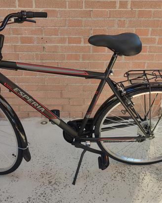 bicicletta