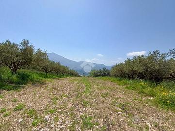 TER. AGRICOLO A CASTELLAMMARE DEL GOLFO