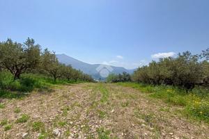 TER. AGRICOLO A CASTELLAMMARE DEL GOLFO