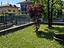 Immagine 29
