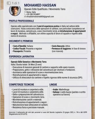 Operaio Edile - Ristrutturazioni e Muratura