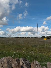 Terreno villa castelli