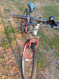 Bicicletta