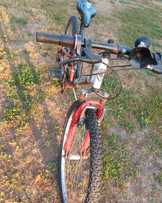 Bicicletta