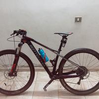 MTB 29 carbonio bottecchia 
