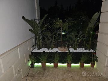 montaggio prati sintetico e prati veri con aiuole