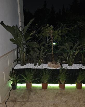 montaggio prati sintetico e prati veri con aiuole