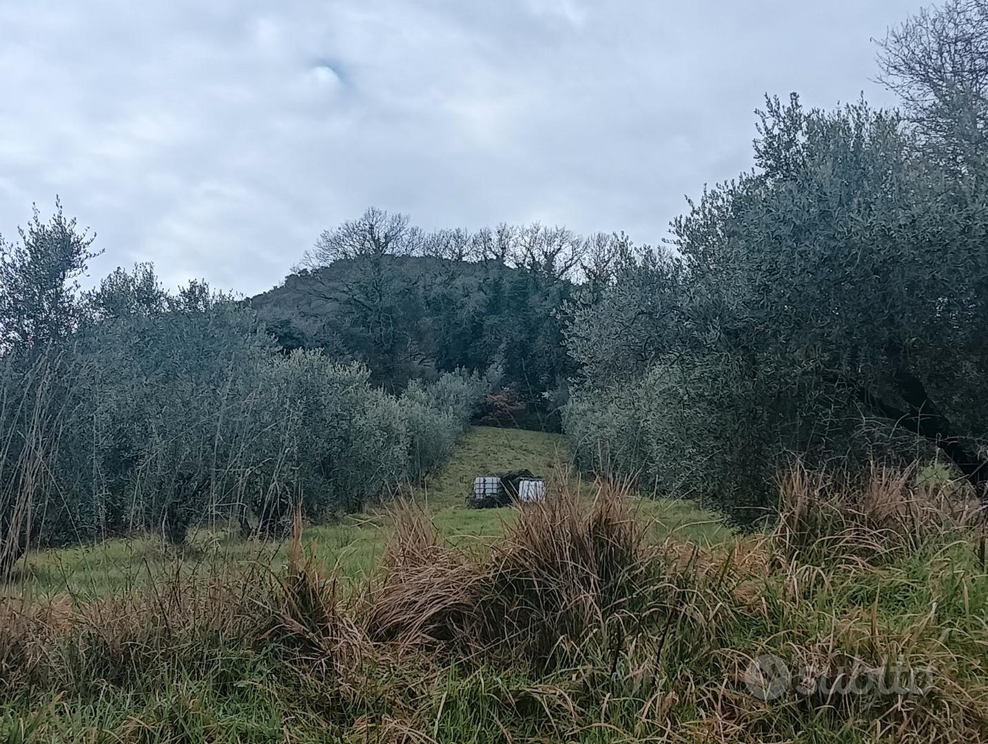 Vendita terreno - Altro