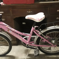 Biclicletta Silver Star bimbi