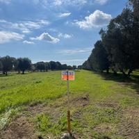 Terreno agricolo su SP105 di 3040mq