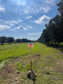 Terreno agricolo su SP105 di 3040mq