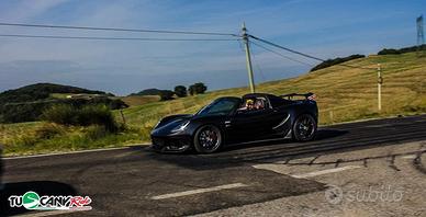 Elise 250 cup