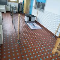 rete recinto box cani