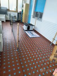rete recinto box cani