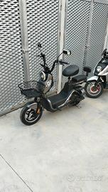 bicicletta elettrica