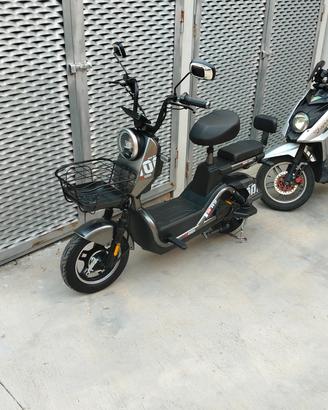 bicicletta elettrica