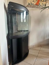 Acquario Angolare “Image”