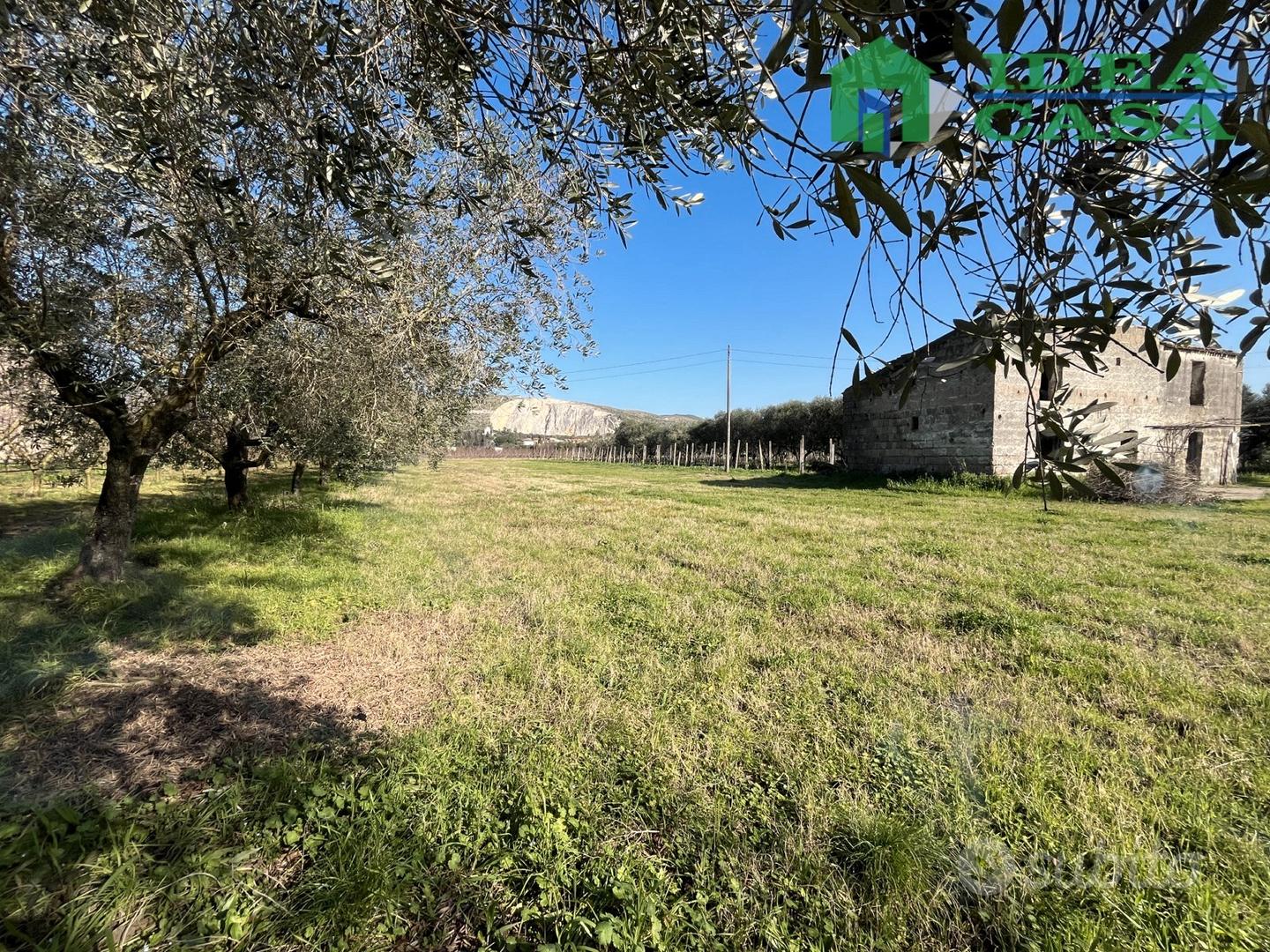 Vitulazio-Rudere con Terreno - Vista 4