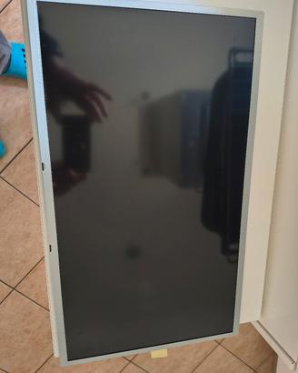 Pannello LG Display LC215EUN
