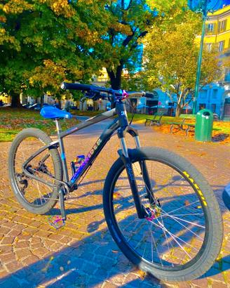 whellie bike rockrider 520