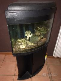 Acquario angolare 60x60