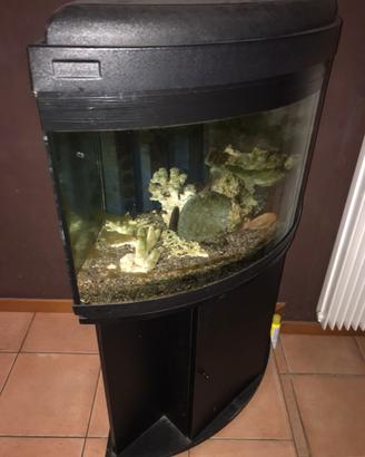 Acquario angolare 60x60