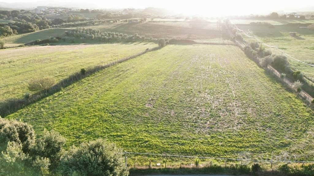 Terreno di 9000 m² a Bracciano - Vista 3