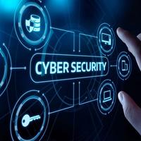 Junior analyst Security- qualificata