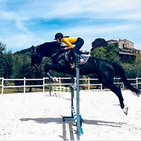 Cavallo