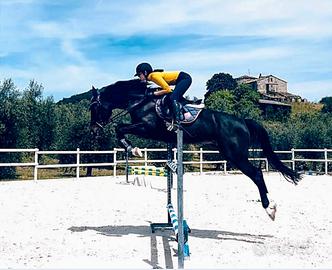 Cavallo