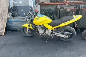 honda hornet  600